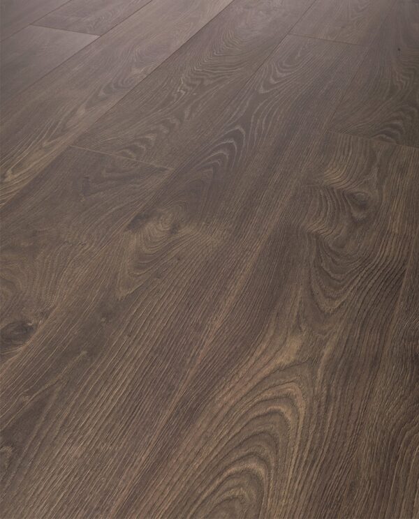 2025 Leysin Oak