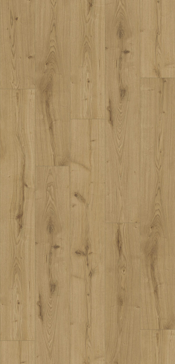 37813 Tölgy Severina