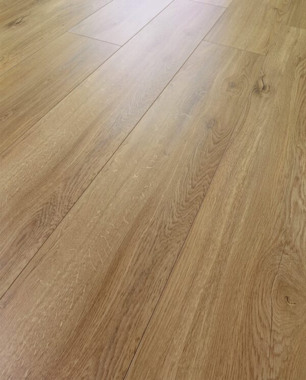 3784 Lucerne Oak (Grand Selection Liberty)
