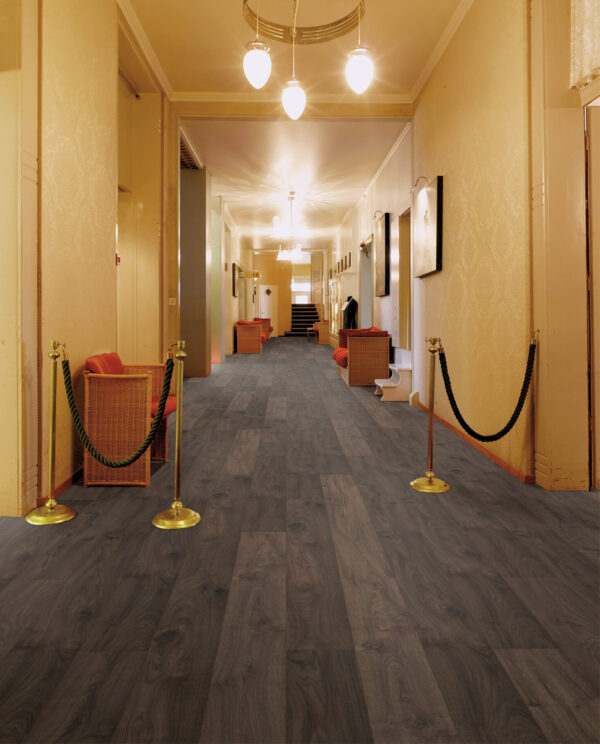 4497 Terra - Image 2