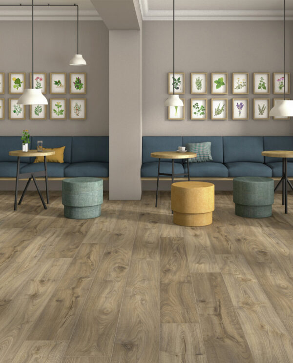 7093 Forest - Image 2