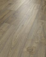 7093 Forest