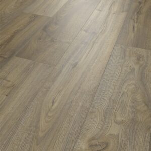 7093 Forest