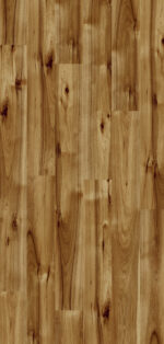 P80070 Hickory Bravo
