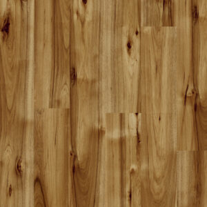 P80070 Hickory Bravo