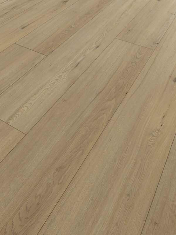 80631 Disentis Oak (Artureon)