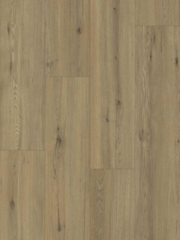 80631 Disentis Oak (Artureon) - Image 4