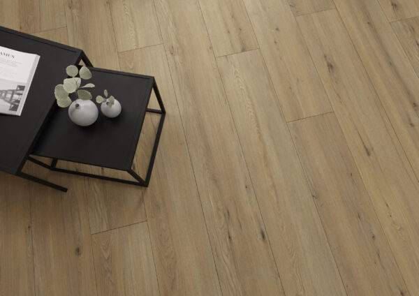 80631 Disentis Oak (Artureon) - Image 2