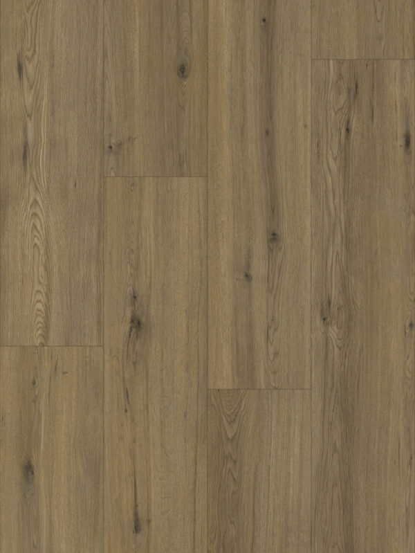 80661 Realp Oak (Majestic Wide) - Image 4