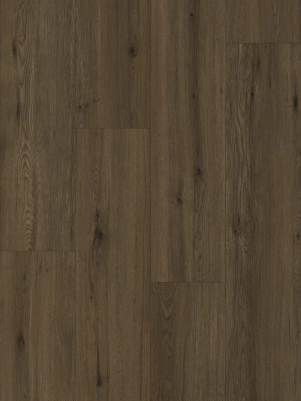 80671 Sedrun Oak (Majestic Wide) - Image 2