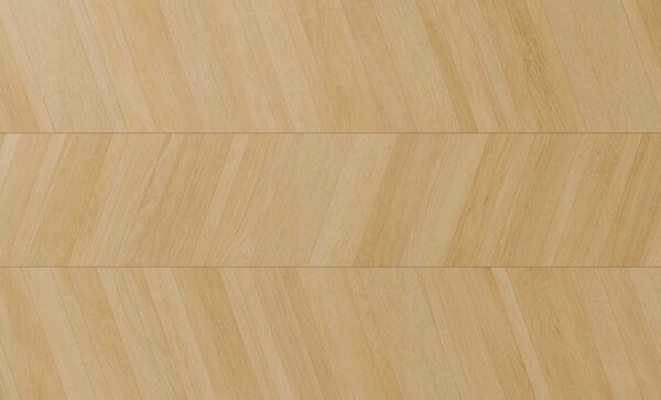 80691 Coast - Image 2