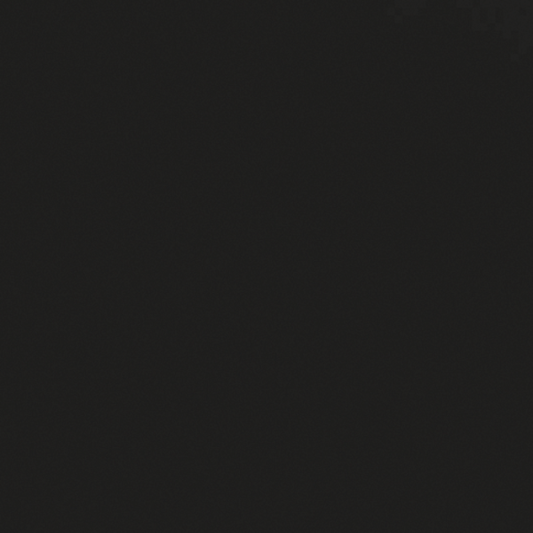 0190PT Black - Image 2